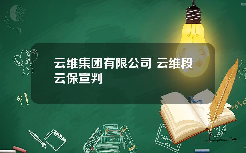 云维集团有限公司 云维段云保宣判